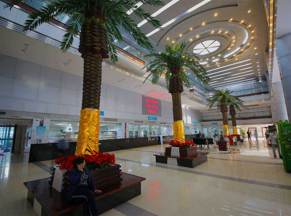 Fuda Cancer Hospital China