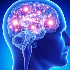 Neurology & Neurosurgery