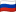 Language Flag