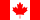 undefined flag