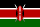 undefined flag