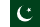undefined flag